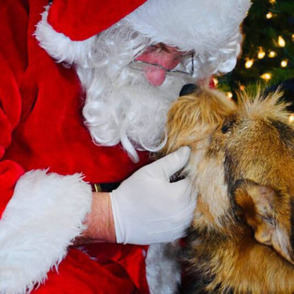 Meet your Posher, Vicki